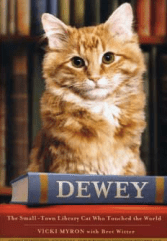 Screen Shot 2015-11-15 at 11.21.47 AM